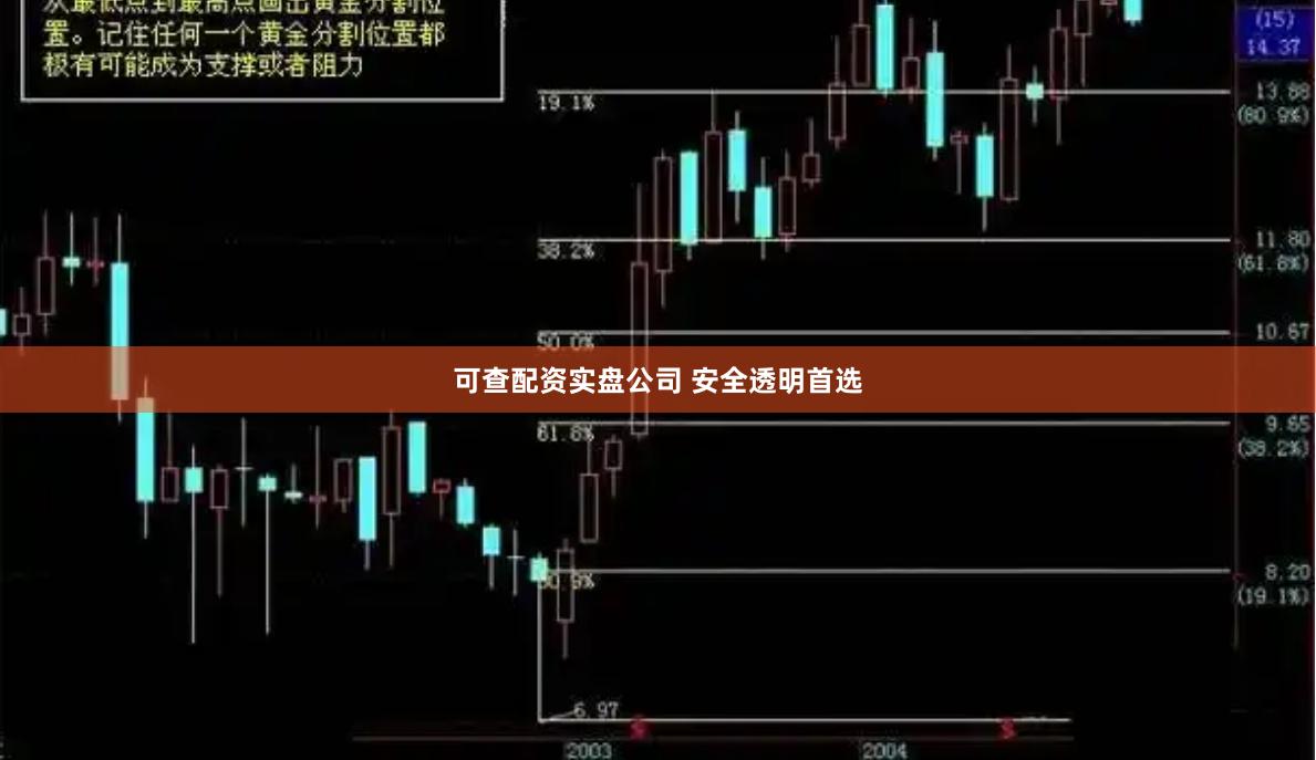 可查配资实盘公司 安全透明首选